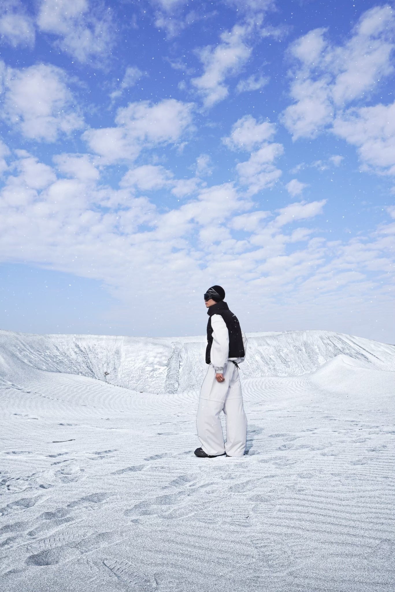 BTV-01 / Arctic Guardian Feather Vest