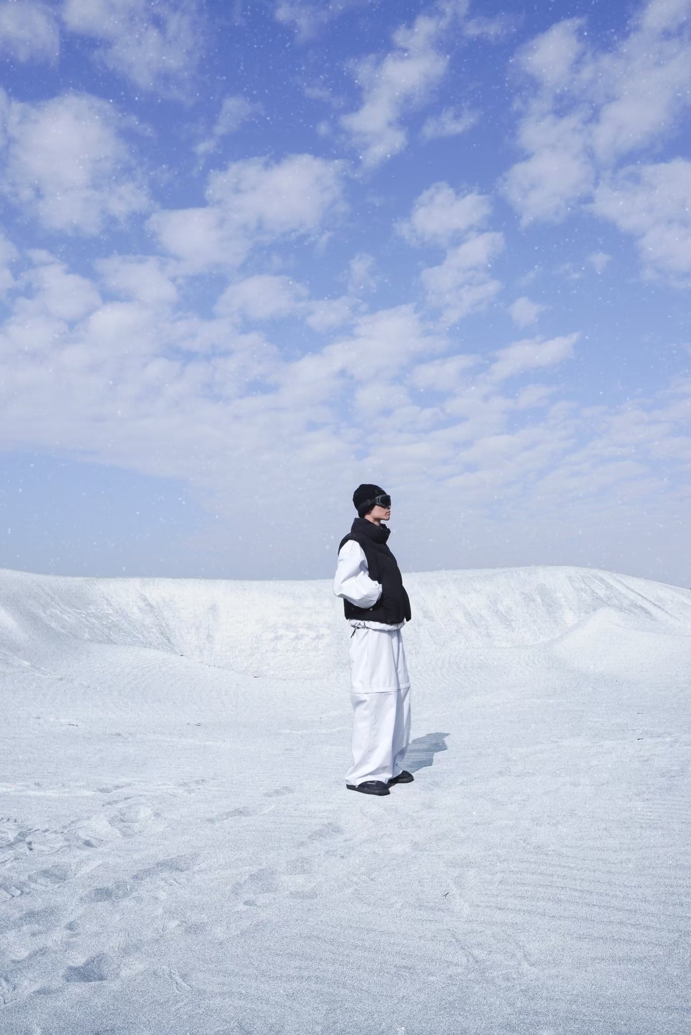 BTV-01 / Arctic Guardian Feather Vest